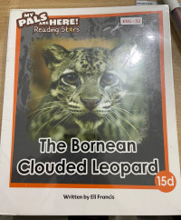 Image of The Bornean Clouded Leopard